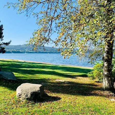Riviera Lipno 502 Apartman 4Kk U Vody Lipno nad Vltavou Eksteriør billede